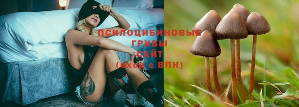 прущая мука Осташков