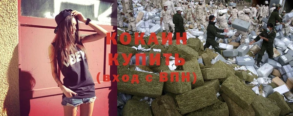 дурь Осинники
