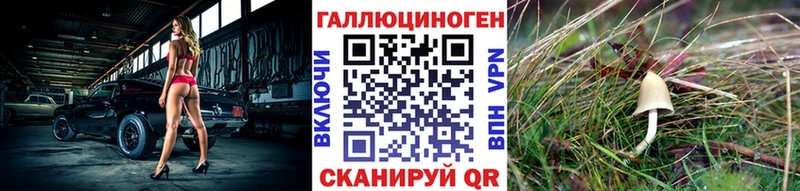где продают Ахтубинск Псилоцибиновые грибы мицелий