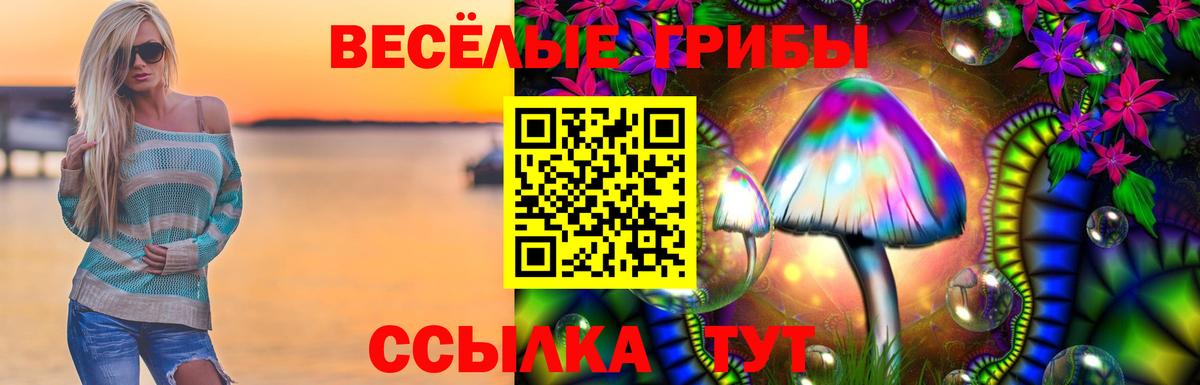 Галлюциногенные грибы прущие грибы  Ахтубинск  Галлюциногенные грибы ЛСД 