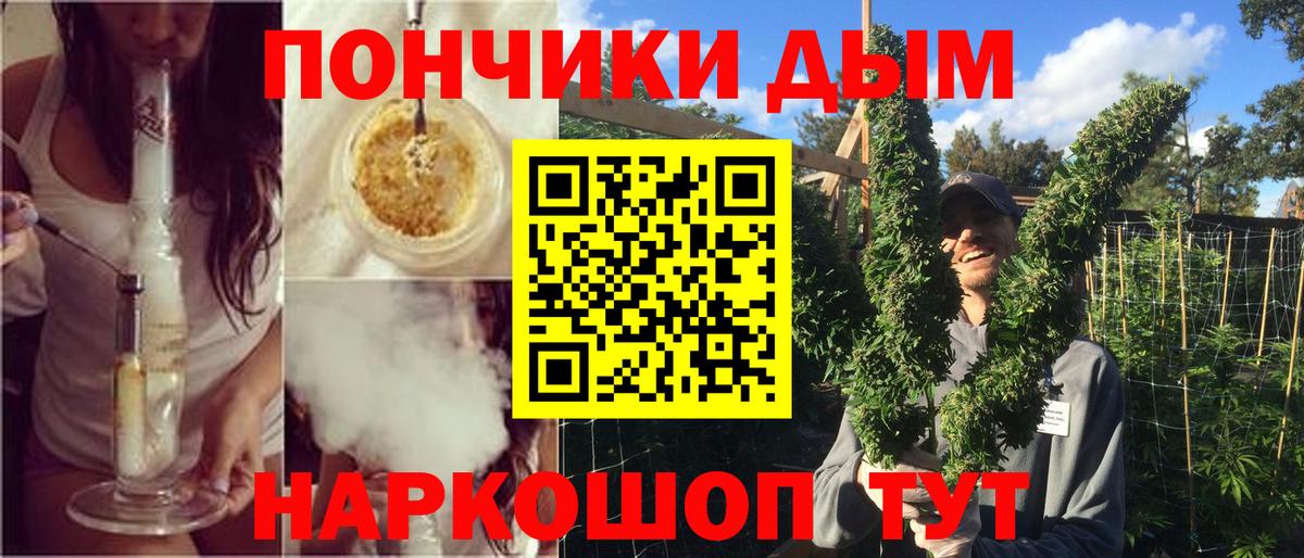 Каннабис план Ахтубинск